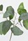 24&#x22; Faux Eucalyptus Leaf Stem